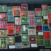 IMG-3316