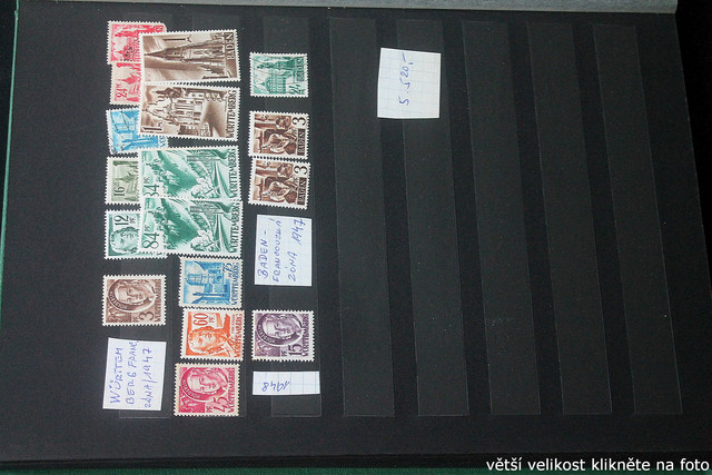 IMG-2307.jpg