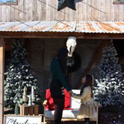 IMG-6464