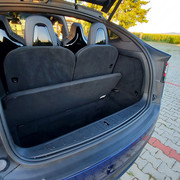 p100d-l11