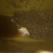 IMG-0708