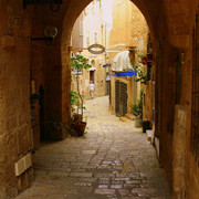 IMG-2479