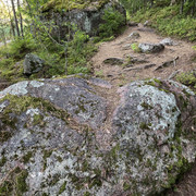 IMG-3090
