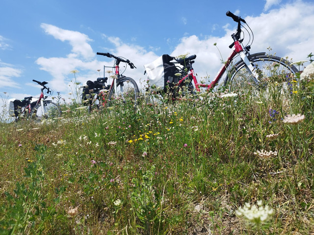 DIA 7. Grein a Melk. Viernes 7de julio - Ruta en bici del Danubio- julio 2023 (9)