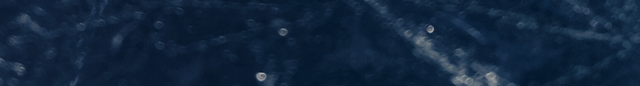 Texture 2.png