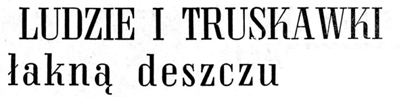 1968tyt.jpg