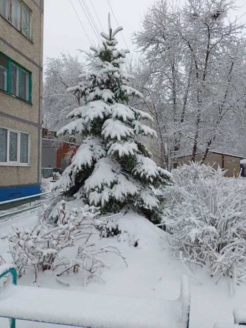 IMG 20260427 102000