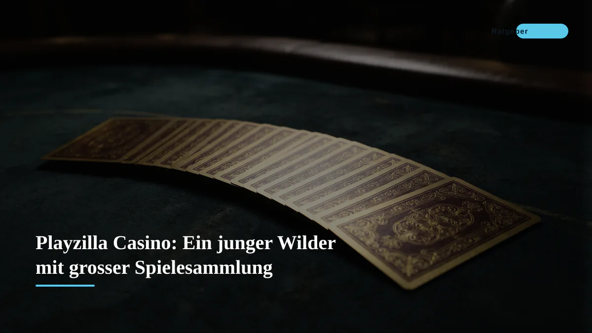 Playzilla Casino: Ein junger Wilder mit grosser Spielesammlung