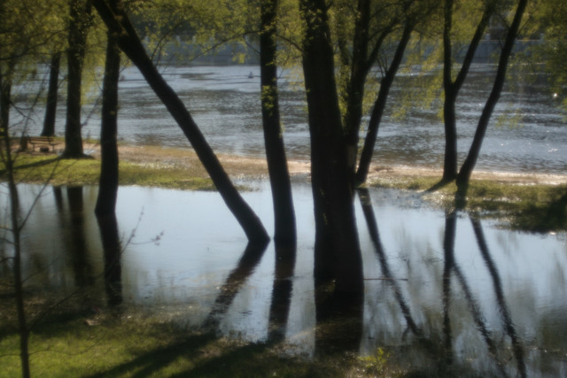IMG-3677.jpg