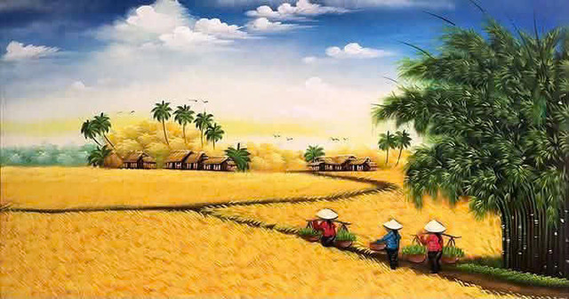 Cánh đồng lúa