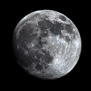 IMG-0010