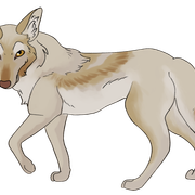 yote-1