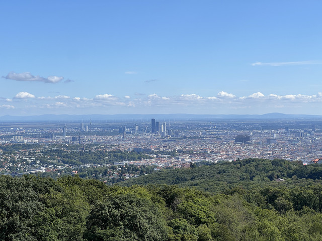 IMG-2370