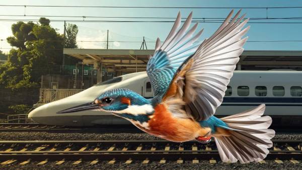 Biomimicry-Header