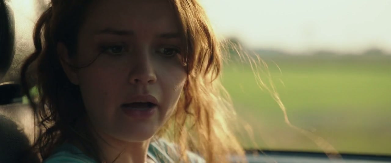 The Signal Screenshot