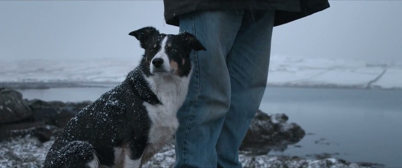 Billy & Molly: An Otter Love Story Screenshot