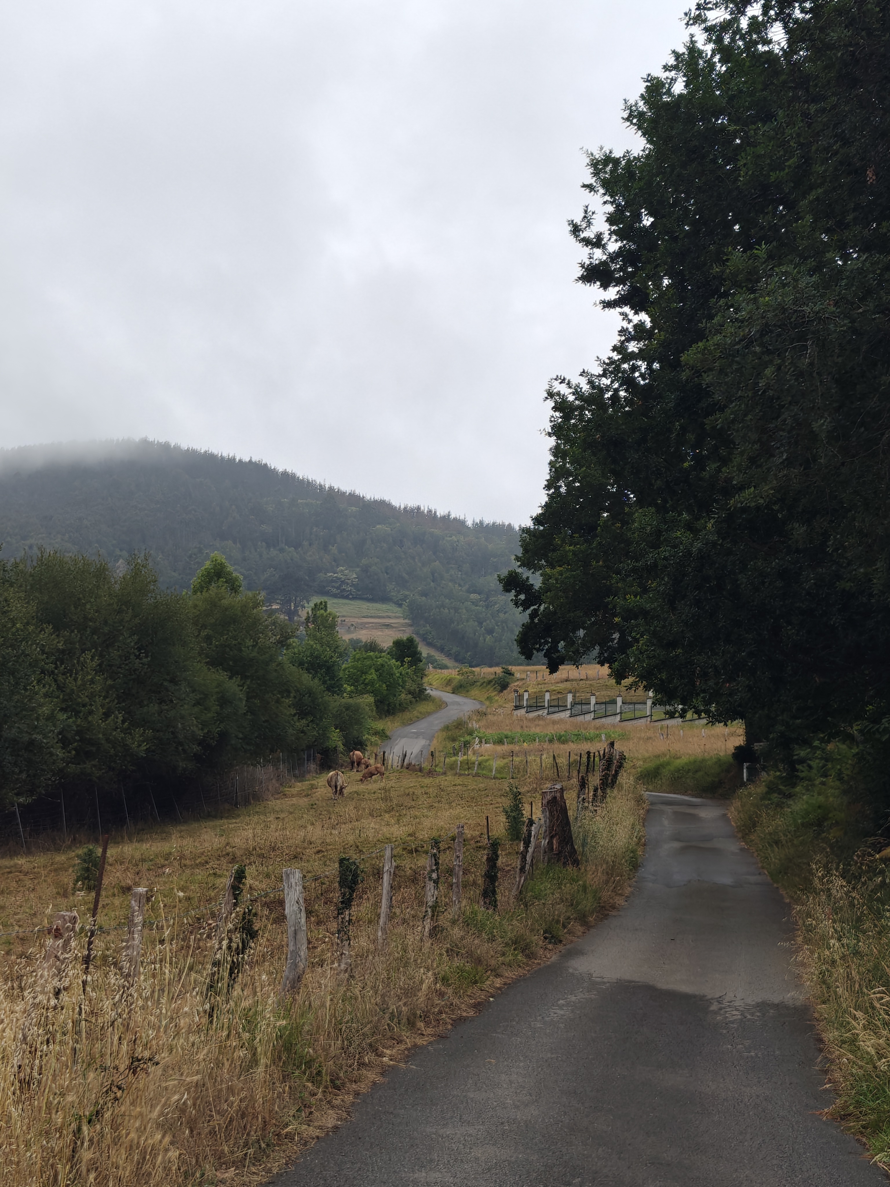 Dag 20 - Oviedo 🥏 San Juan de Villapañada 4