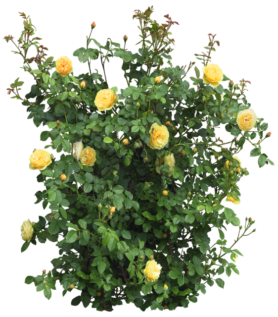 7e647683d03bb889ef7ddfab7536dfb3ff (112)