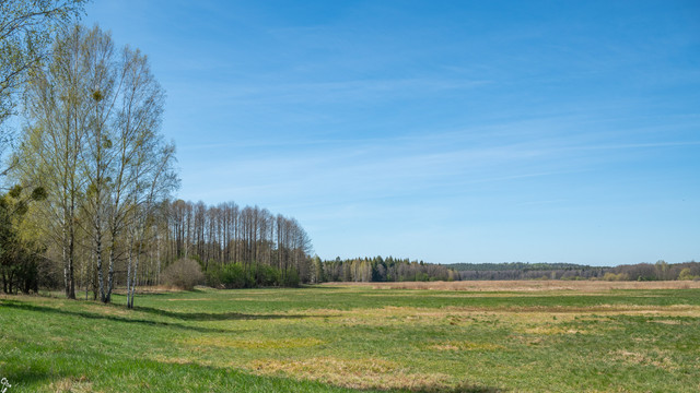 podlasie 2 07.jpg