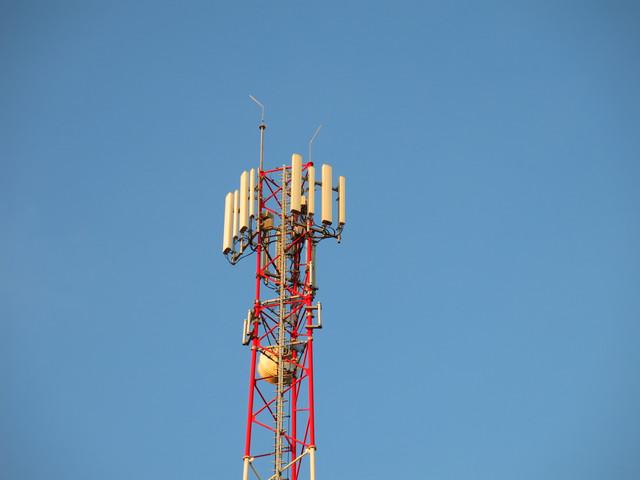 IMG-0332