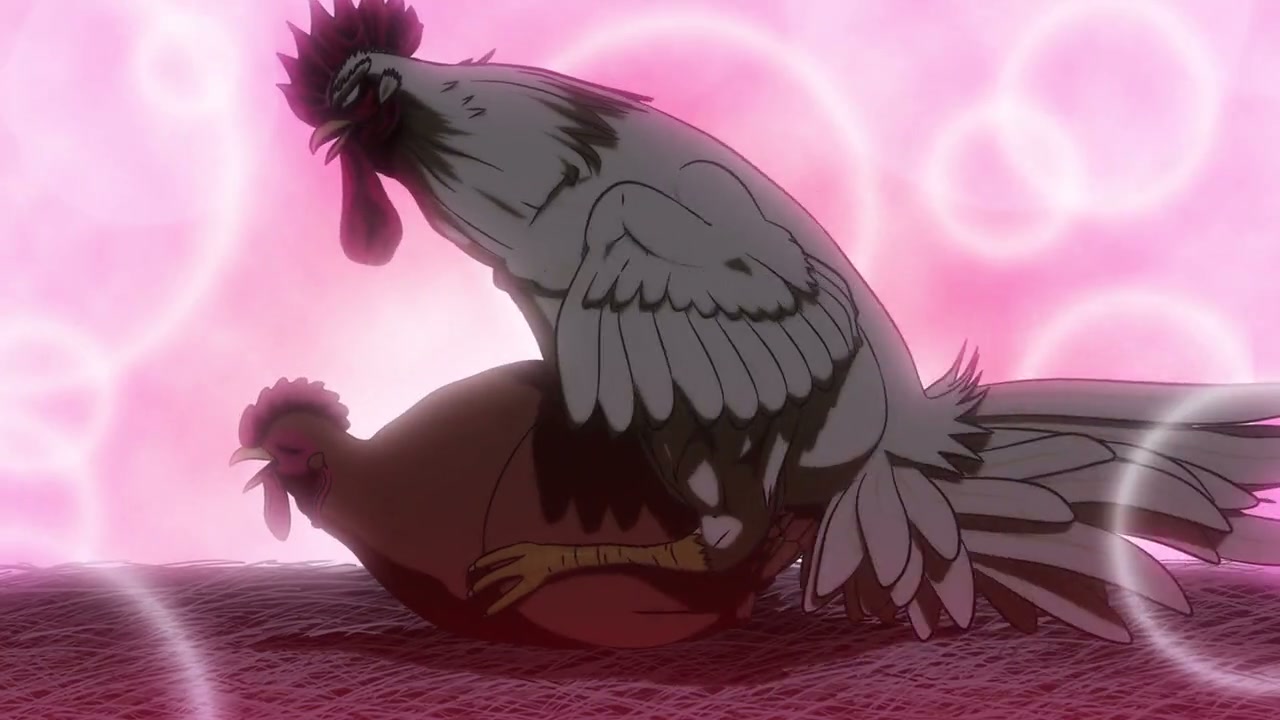 Rooster Fighter Screenshot