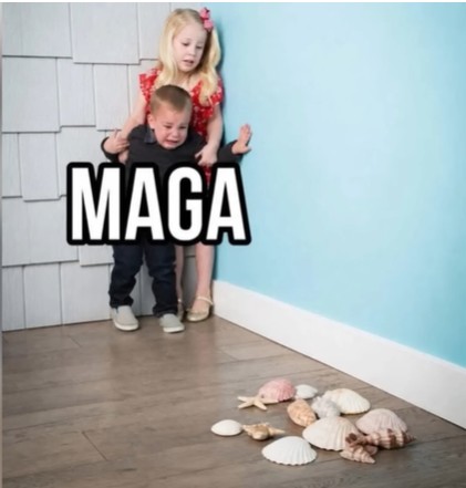 maga-seashells.jpg