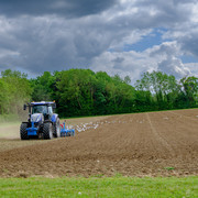 DSF1806