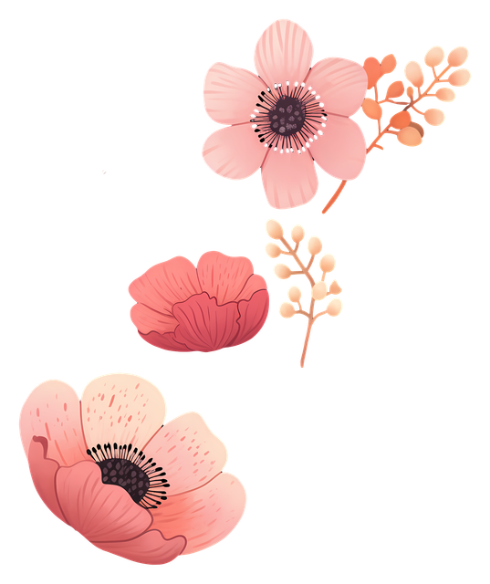 57086867e7c2db5fdfd0c1a64fdba3e4.png