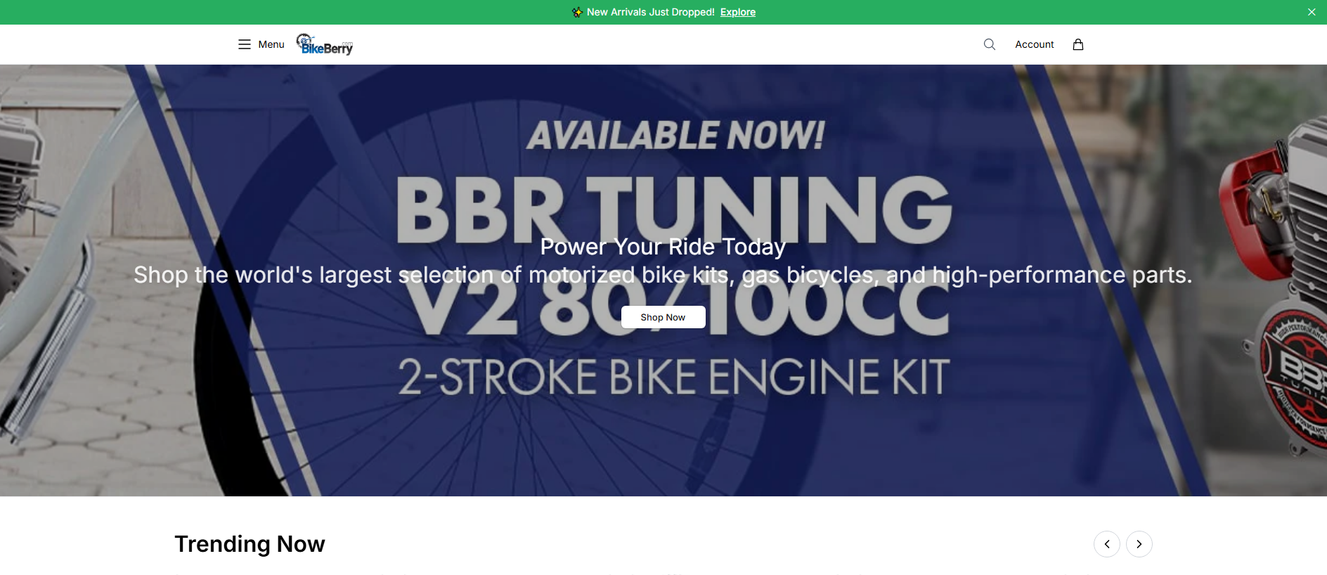 Primary capture · bikeberryhub.shop