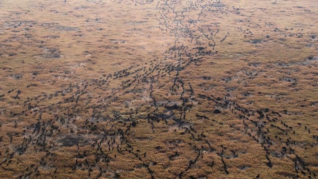 Our Planet Screenshot