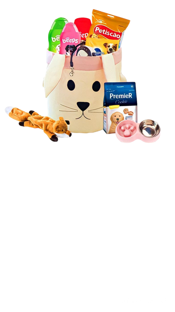 Mimo 1.png