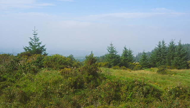 DSCF7027c.jpg