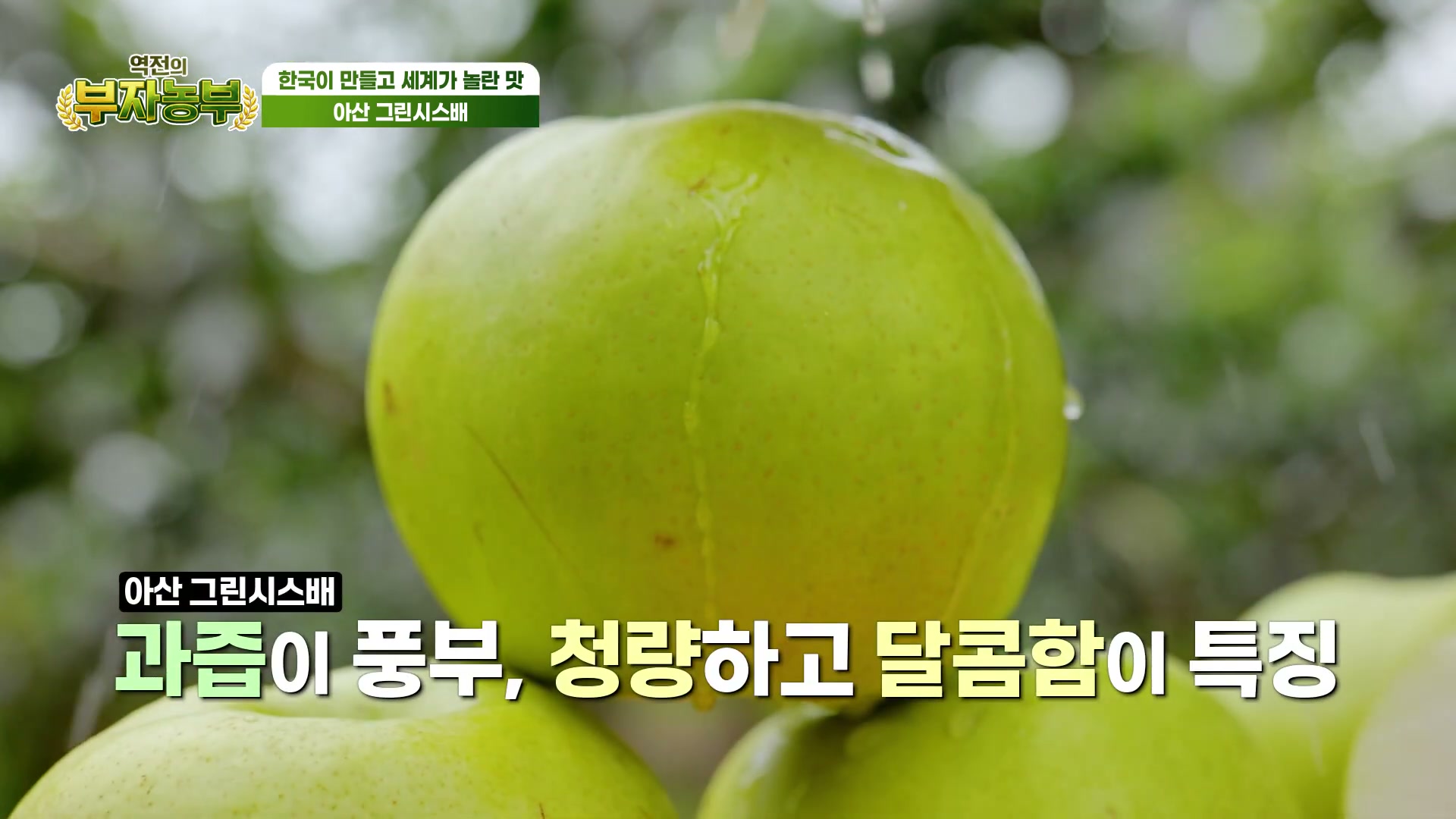 역전의부자농부 아산 그린시스배 추가 캡처 1