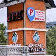Kea Market21