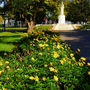 Bolivar 09