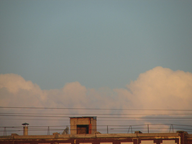 IMG 7323
