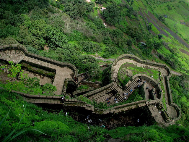 Greenery at Lohagad Fort.jpg