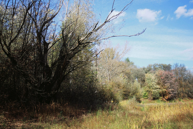 IMG 6780 2.jpg