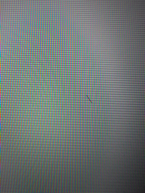 1000035132.jpg