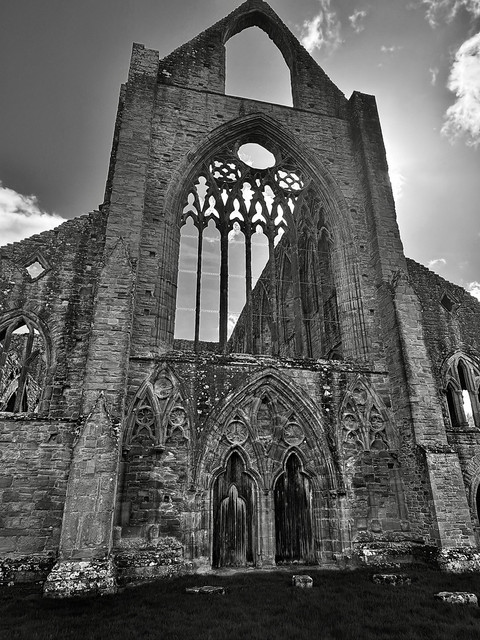 IMG 7448.jpg