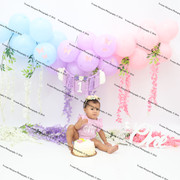 IMG-1785