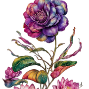 freepik-background-46147