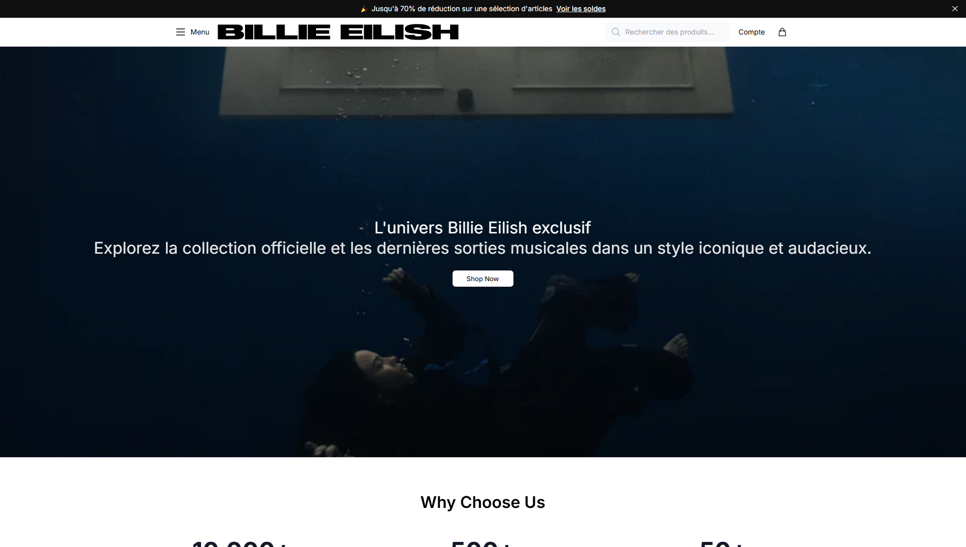 Primary capture · billieeilishfashion.shop