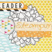 SP16-zpsae6fb7e8