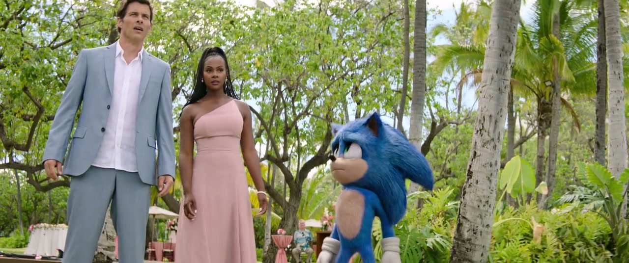 Sonic the Hedgehog 2 Screenshot