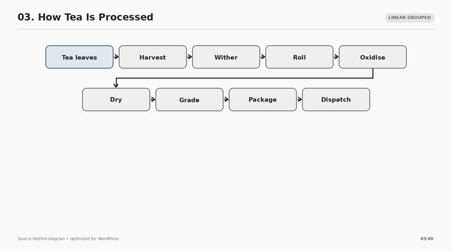03 how tea is processed.png