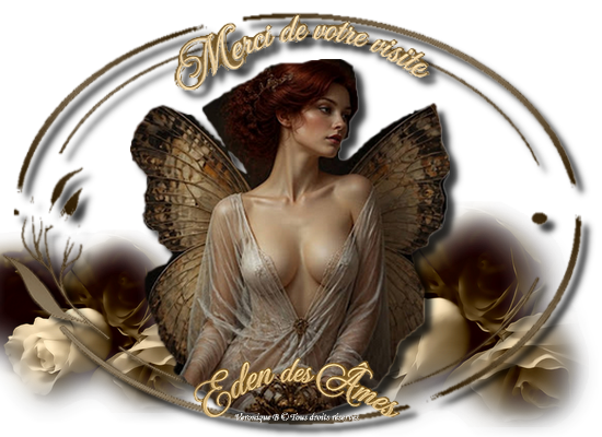 merci-papillon