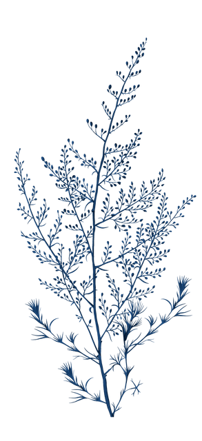 346a857bee4ac3c64af889b465c7ada4.png