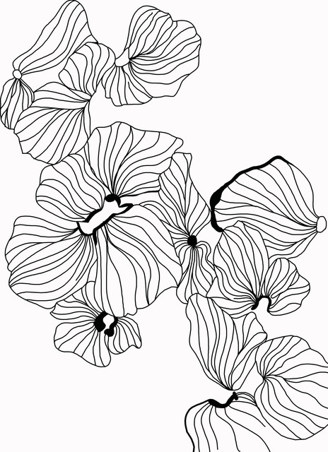 9cf5e231e2e44392d19405d2b7954541.jpg