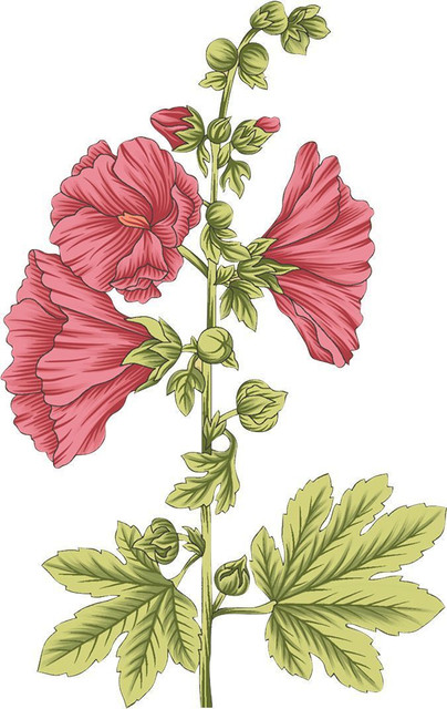 01-925.jpg